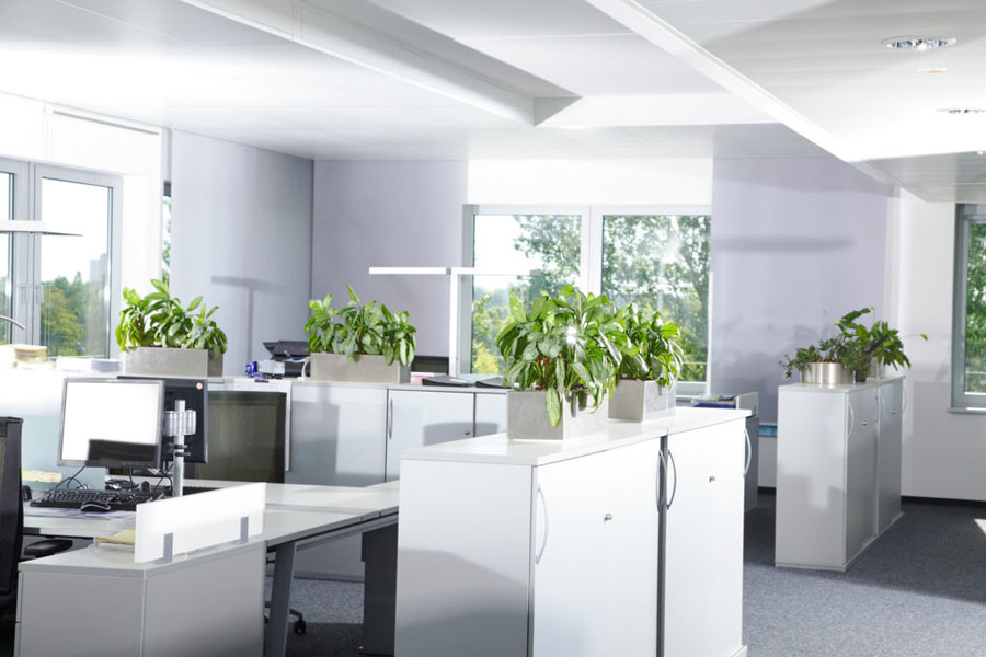 reformas de oficinas madrid